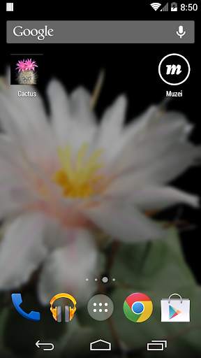 Cactus of The Day screenshot 2