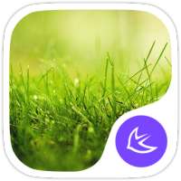 Grass-APUS Launcher theme on 9Apps