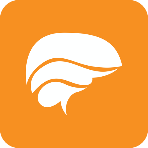 Human Brain icon