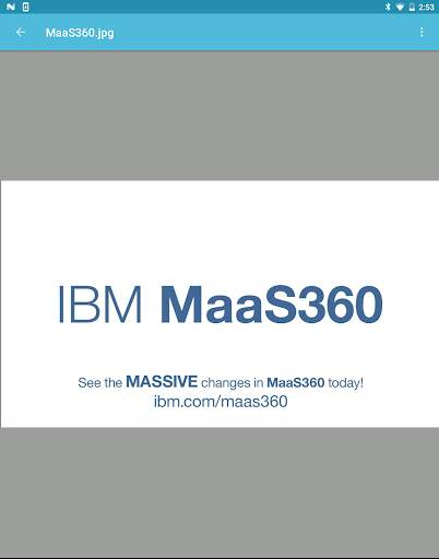 MaaS360 Docs screenshot 1