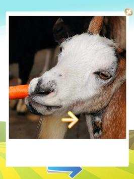 Animal Sounds - LITE screenshot 10