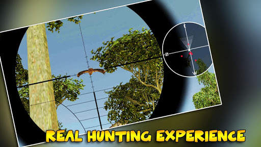 Real Forest Sniper Bird Hunting screenshot 4
