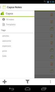 Capsa screenshot 2