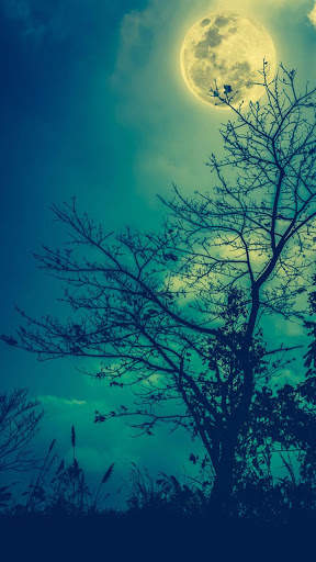 Moon HD Wallpapers screenshot 3