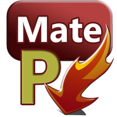 PlayMate↓ icon