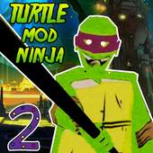 Turtle Granny 1