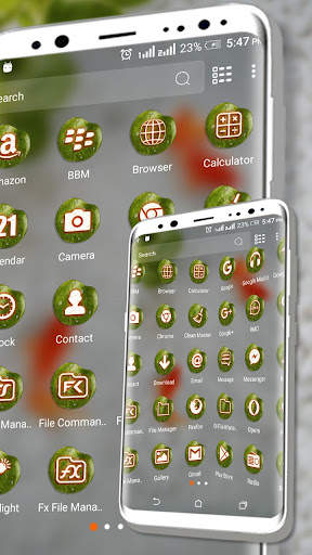 Koi Fish Water Launcher Theme screenshot 2