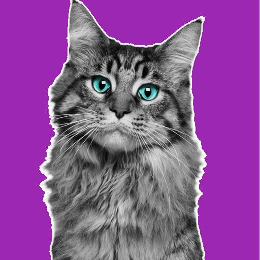 Amar Cat 0.1.2