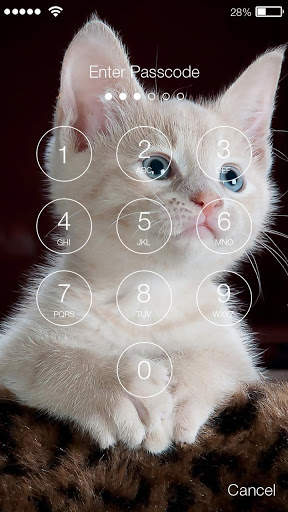 Cat Kitten PIN Screen Lock screenshot 2