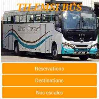 TILEMSI BUS screenshot 1