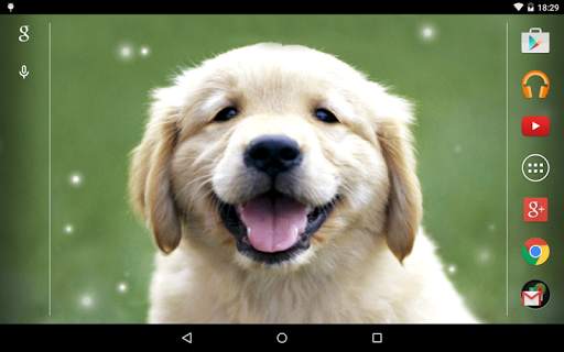 Puppies Live Wallpaper screenshot 9