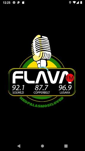 Flava FM screenshot 1