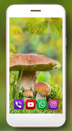 Mushrooms Forest Live Wallpaper screenshot 4