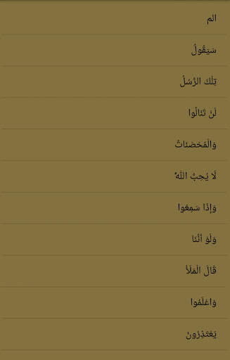 Holy Quran screenshot 1