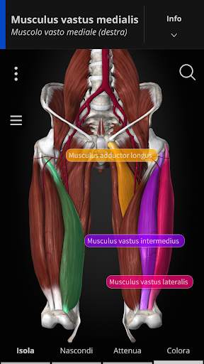 Anatomyka - Anatomia 3D screenshot 2