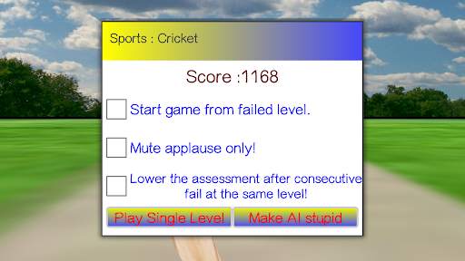 Sports : Cricket Batting screenshot 3