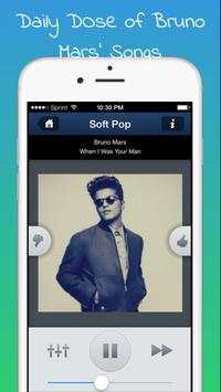 Bruno Mars Free Music Offline. No Wifi Connection screenshot 5