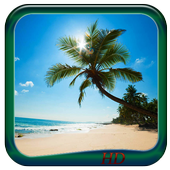 Sandy Beach Wallpaper HD icon