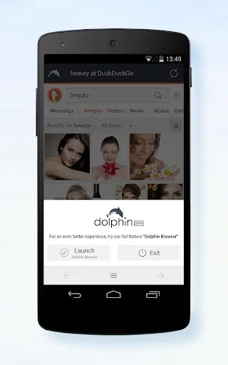 Dolphin Zero Incognito Browser screenshot 3