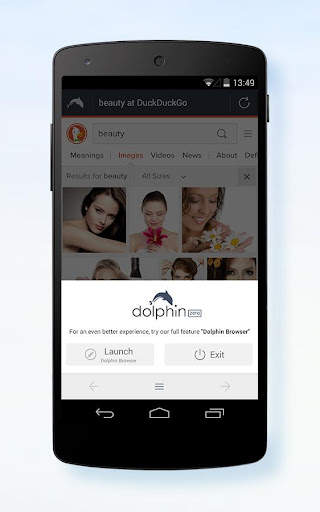 Dolphin Zero Incognito Browser screenshot 3