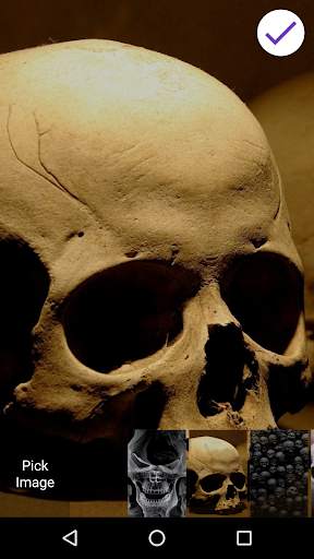 Scary Skull Lock Screen 5 تصوير الشاشة