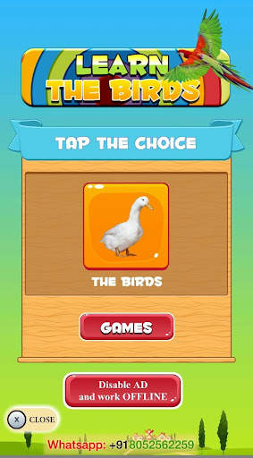 Learn the Birds screenshot 7