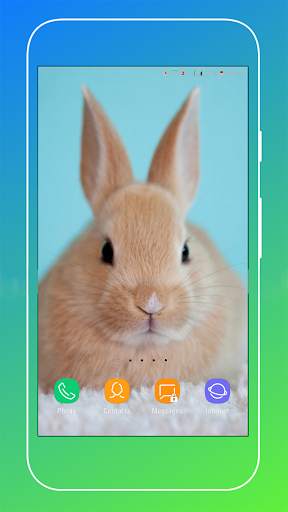 Rabbit Wallpaper screenshot 4