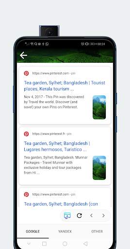 Reverse Image Search : search by image screenshot 2