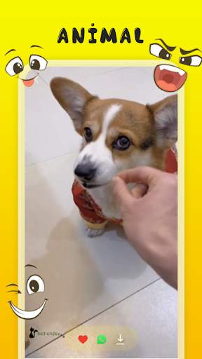 Funny Video - VidFun screenshot 3