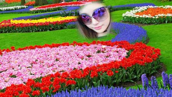 Garden Photo Frames screenshot 3