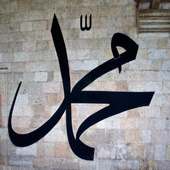 السنة النبوية الصحيحة on 9Apps