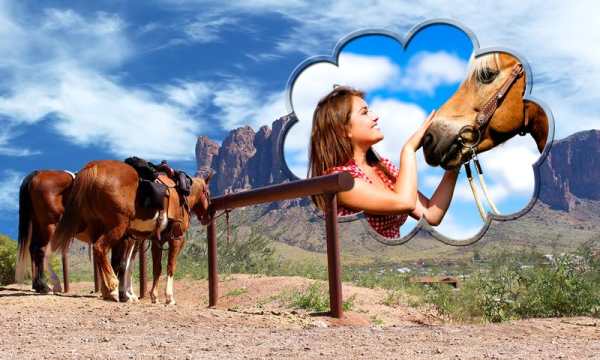 Horse Photo Frames screenshot 10
