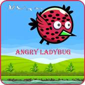 Angry LadyBird 1.0