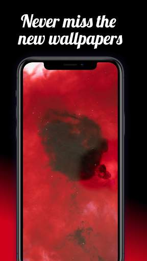 Red Wallpapers & Backgrounds HD screenshot 4