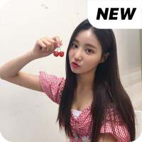 Momoland Yeonwoo wallpaper Kpop HD new logo