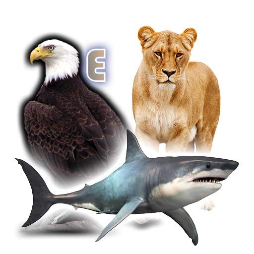 Animals Birds Fishes 1.0.1