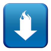 Full Download Manager 1.0.4