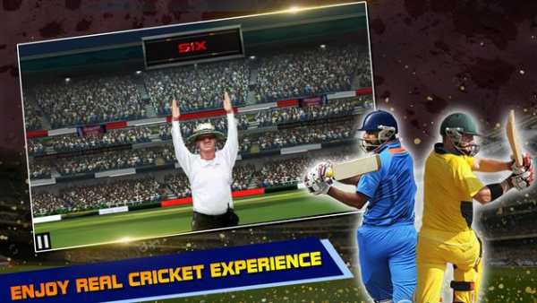 IND vs AUS Cricket Game 2017 screenshot 5