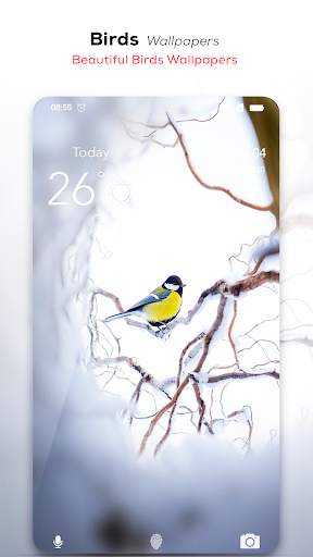 🦅 Birds Wallpaper HD स्क्रीनशॉट 5