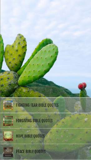 Best Inspirational Bible Quotes screenshot 1