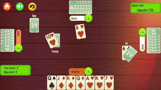 29 Card Game * PLUS screenshot 4