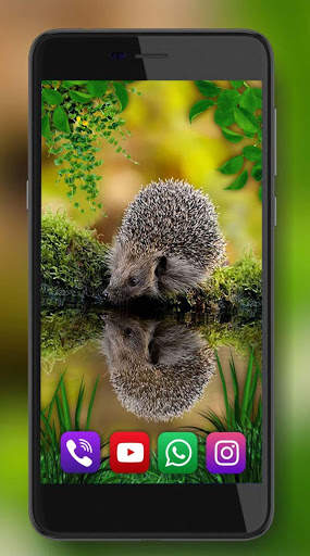 Hedgehogs Forest Live Wallpaper screenshot 4