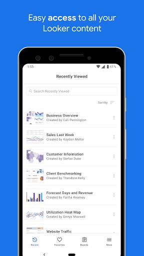 Looker Mobile screenshot 1