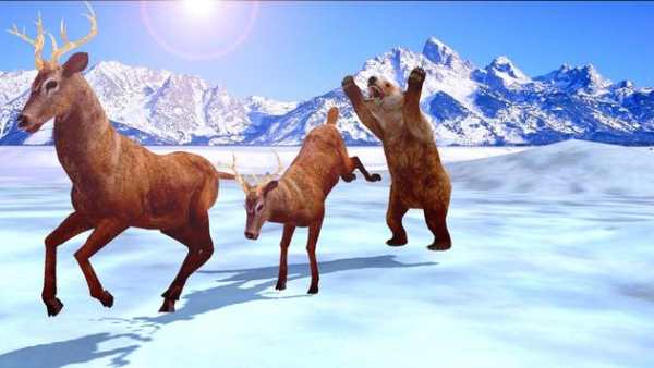 Wild Animal King Hunting: Sniper Shot Adventure 3D screenshot 5