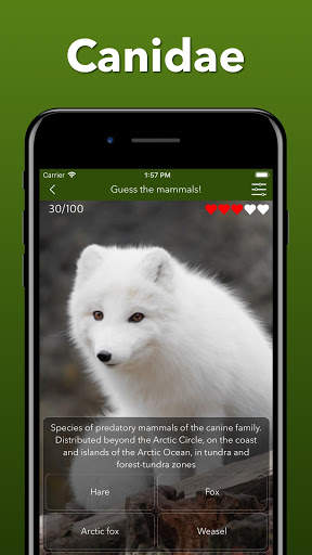 Animals Quiz - Learn All Mammals, Birds and more! screenshot 5