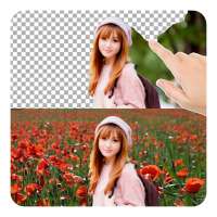Cut Paste Photos Perfect