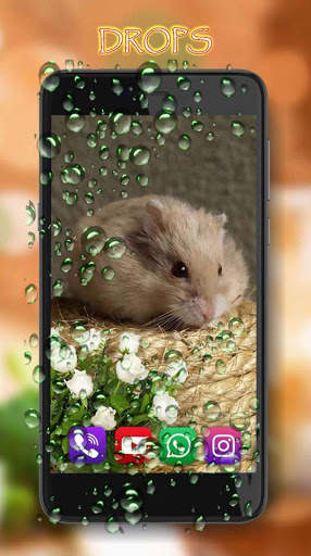 Hamsters Funny Live Wallpaper screenshot 6