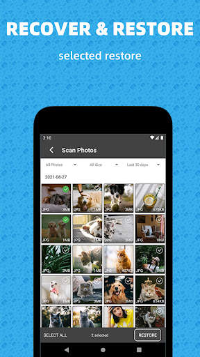 Photo Recovery screenshot 3