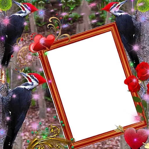 Woodpecker Insta DP screenshot 2