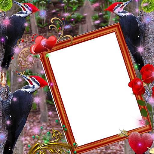 Woodpecker Insta DP 2 تصوير الشاشة